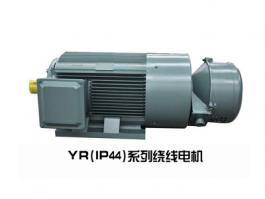 YRW系列無刷無環(huán)三相異步繞線電機（IP44）